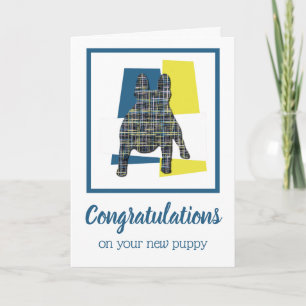 Fransk Bulldog Puppy Grattis Hälsning Kort