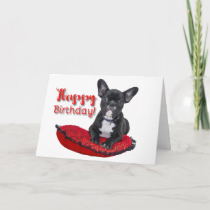 Fransk Bulldog Puppy Grattis på födelsedagen Greet Kort