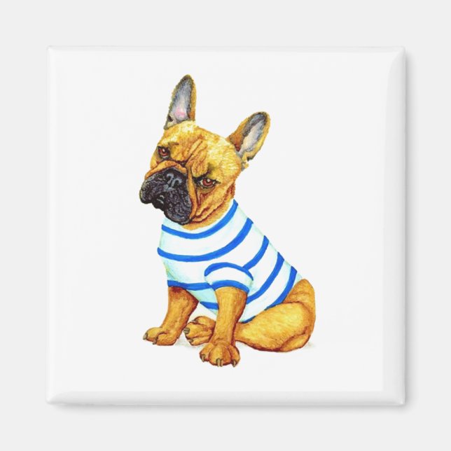 Fransk Bulldog Puppy i ett Shirt Magnet (Framsidan)