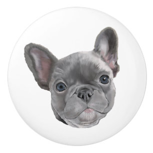 Fransk Bulldog Puppy Knopp