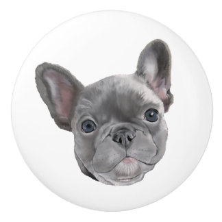 Fransk Bulldog Puppy Knopp