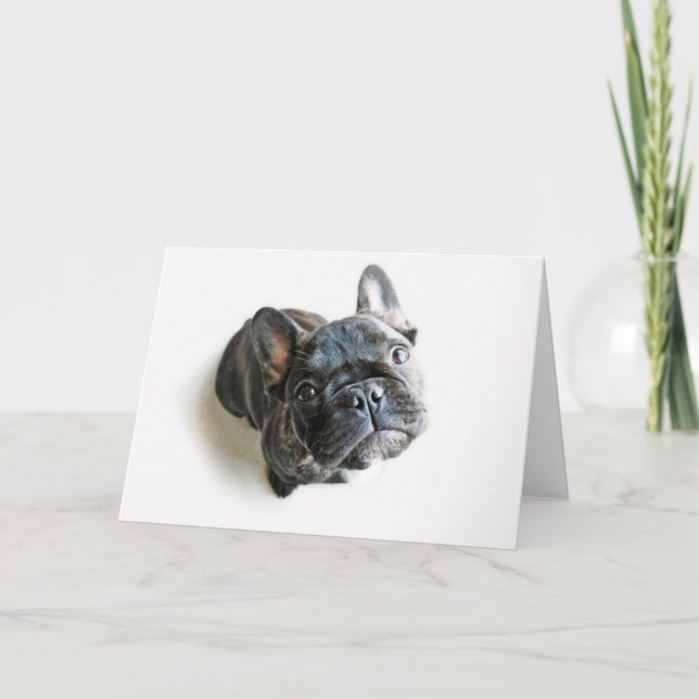 Fransk Bulldog Puppy Kort (Framsida)