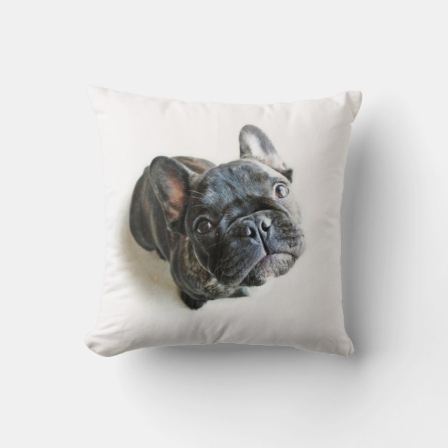 Fransk Bulldog Puppy Kudde (Framsida)