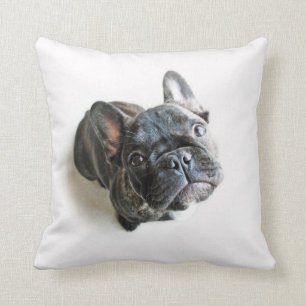 Fransk Bulldog Puppy Kudde