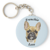 Fransk Bulldog Puppy