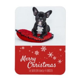 Fransk Bulldog Puppy Red Photo Jul Anpassningsbar Magnet