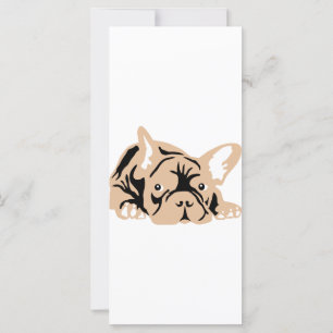 Fransk Bulldog rose