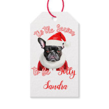 Fransk Bulldog Santa Outfit