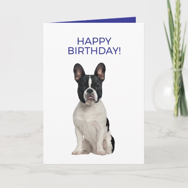Fransk Bulldog Simple Minimal Grattis på födelseda Kort (Framsida)