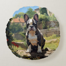Fransk Bulldog Sitta på en mur