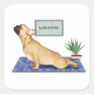 Fransk Bulldog som gör Hund Yoga Pose uppåt Fyrkantigt Klistermärke