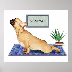Fransk Bulldog som gör Hund Yoga Pose uppåt Poster