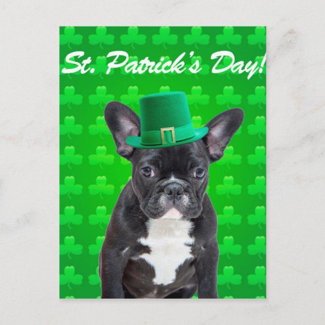 Fransk Bulldog-St patrick's day Vykort (Framsida)