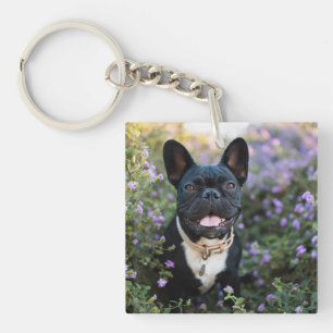 Fransk Bulldog Stands i blommor