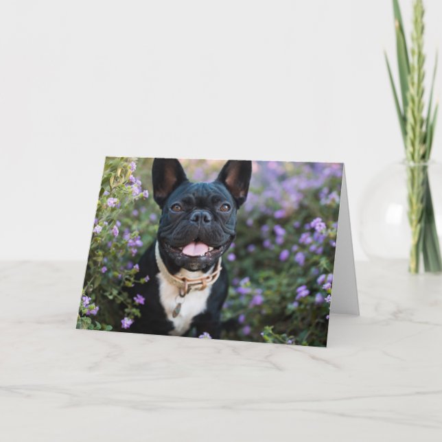 Fransk Bulldog Stands i blommor Kort (Framsida)