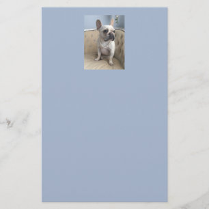 Fransk Bulldog Stationary Brevpapper