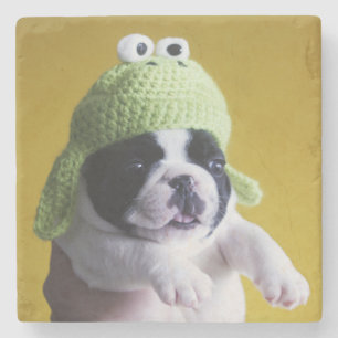 Fransk Bulldog Stenunderlägg