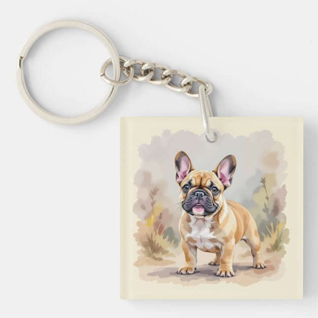 Fransk Bulldog Tan Fawn Färgad Cute Frenchie Hund (Framsidan)