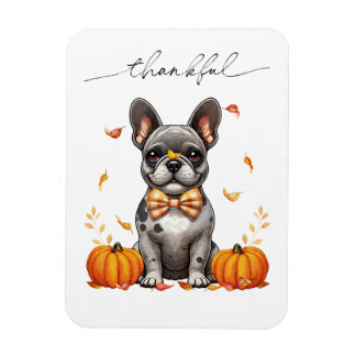 Fransk Bulldog Thankful Höst löv Pumpkins Magnet