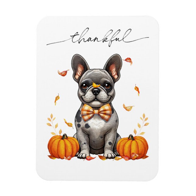 Fransk Bulldog Thankful Höst löv Pumpkins Magnet (Vertikal)