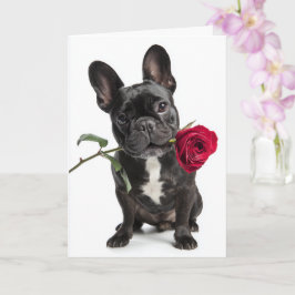 Fransk Bulldog Valentine – Stor kärlek, söt charm Kort