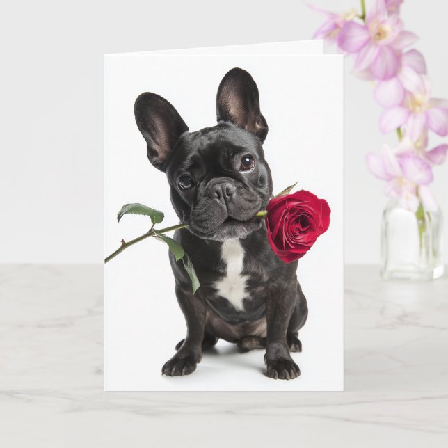 Fransk Bulldog Valentine – Stor kärlek, söt charm Kort (Orkide)