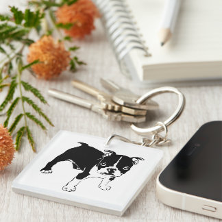 Fransk Bulldog-valp