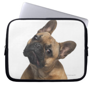 Fransk Bulldog-valp (7 månader gammal) Laptop Sleeve