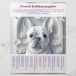 Fransk Bulldog Valp Flyer