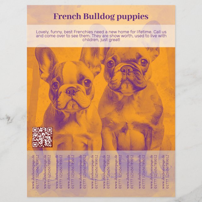 Fransk Bulldog Valp Flyer (Framsidan)