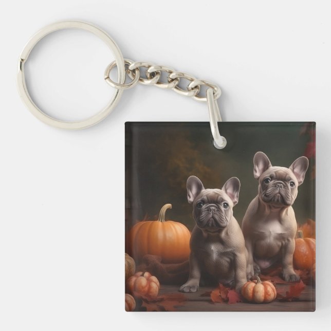 Fransk Bulldog Valp Höstglädje Pumpa (Framsidan)