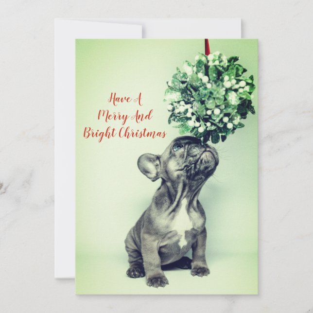 Fransk Bulldog-valp Misteltoe Merry Bright Julkort (Framsida)