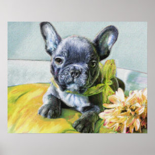 fransk bulldog-valp poster