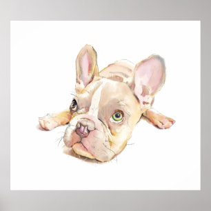 Fransk Bulldog Vattenfärg Poster, Väggkonst