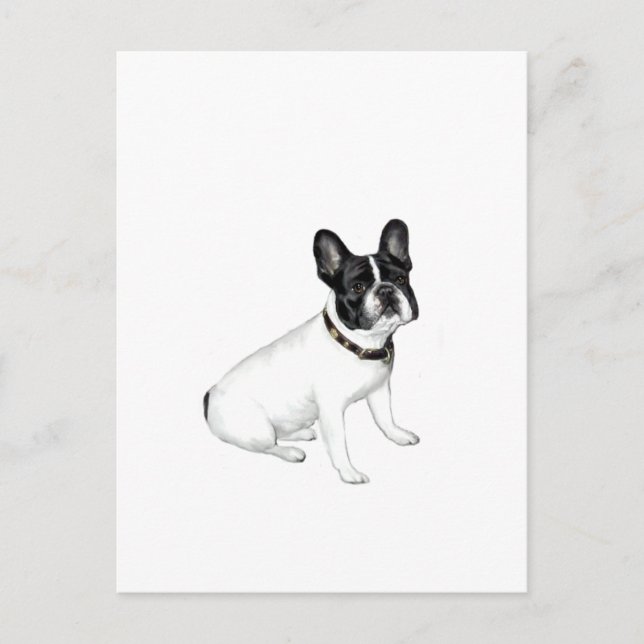 Fransk Bulldog (vit med svart) Vykort (Framsida)
