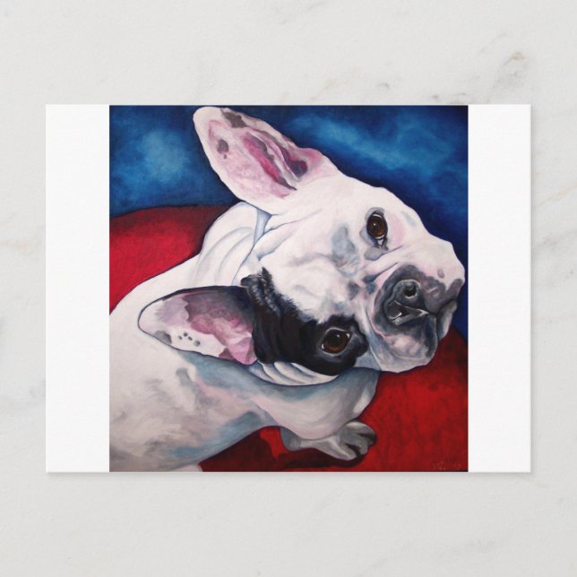 Fransk Bulldog, vit och svart Vykort (Framsida)