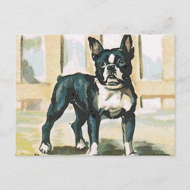 Fransk Bulldog Vykort (Framsida)