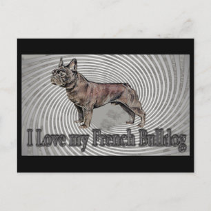 Fransk Bulldog Vykort
