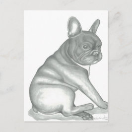 Fransk Bulldog-vykort Vykort