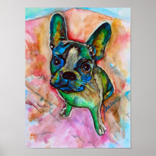 Fransk Bulldog Watercolor Painting Poster