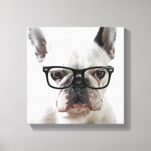 Fransk Bulldog Wearing Black Öga Glasses Canvastryck (Framsida)