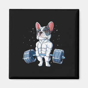 Fransk Bulldog Weightlift Funny Deadlift Gym Magnet