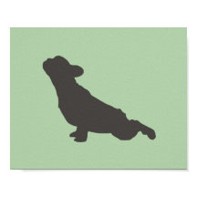 Fransk Bulldog Yoga Pose