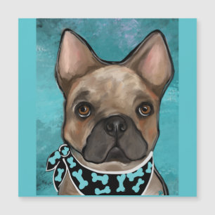FRANSK BULLDOGG