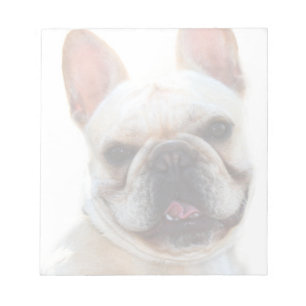 Fransk bulldogg anteckningsblock