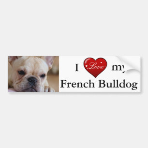 Fransk bulldogg bildekal