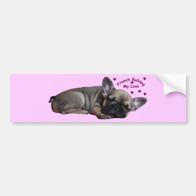 Fransk bulldogg bildekal (Framsidan)