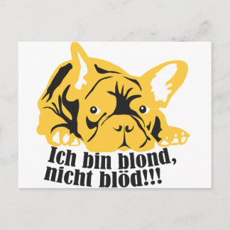 Fransk Bulldogg: Blond! Vykort