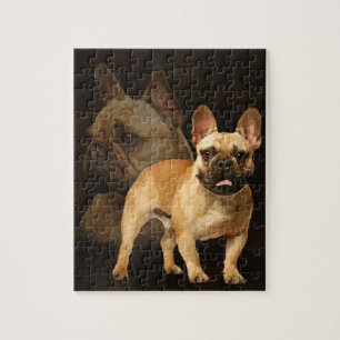 Fransk bulldogg - Frenchie - brun pläd Pussel