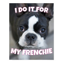 Fransk bulldogg Frenchie Hund Mamma Pappa Husdjurs